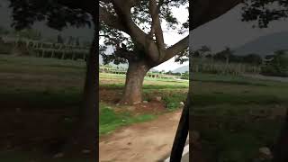 Nandi hills status ❤️#Nandi hills#Nandi hills ride#shorts video#trending #viral video#hills status.