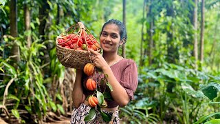 Sri lankan Gambooge recipes 🍑 harvesting preserving  & Cooking in rainy ⛈⛰️ mountains