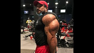 ROELLY WINKLAAR - DONT UNDERESTIMATE ME - MR OLYMPIA 2020 MOTIVATION !