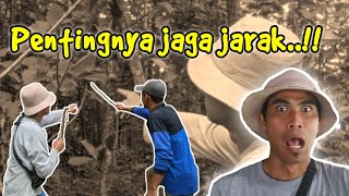 Potensi alam || Manfaat dan fungsi pohon jarak