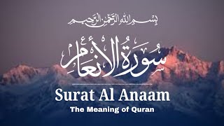 Quran Tilawat Surah Al - Anaam | (The Grazing Livestock) | Surat Al-An am full | Chapter No:-6 | 165