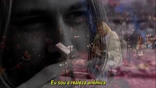 Nirvana - Pennyroyal Tea ao vivo no MTV Unplugged 1993 (Legendado)