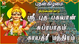 WEDNESDAY SPL | THIRUVENKADU | SRI BUDHA BHAGAVAN SUPRABHATHAM | BUDHA PARIHARA STHALAM | NAVAGRAHAM