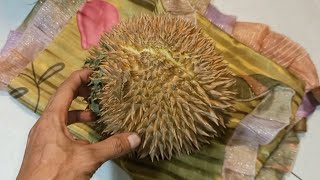 Cara Belah Durian Matang Yang Mudah & Cepat