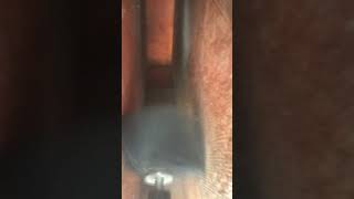 Service Air Pro USA Duct Cleaning (Limpieza de ductos de Aire Acondicionado)