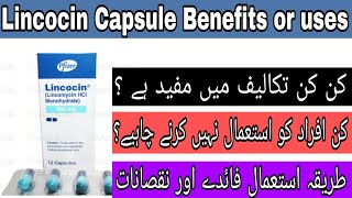 Lincocin Capsule 500mg Uses In Urdu | Lincomycin Capsule 500mg Uses In Urdu