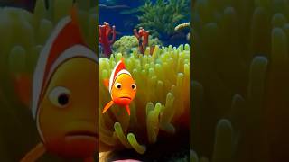 Colorful fish ( For Kids ) #shorts