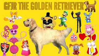 GFJR THE GOLDEN RETRIEVER🐕