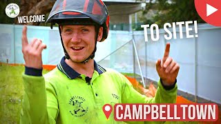 Welcome to Site - Campbelltown - Shanes Trees