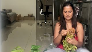 Fun Plantation-Grow Coriander(dhaniya)/mint (pudina) With Me From Your Kitchen/fridge At Zero Cost