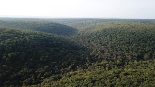 Moshannon State Forest, Pennsylvania