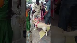 JAGTIAL POLICE KI JANIB SE GANJE KI TALASHI.  AJJ NEW BUSTAND ME DOG SQUAD K ZARIYE TALISHI LEGAYE