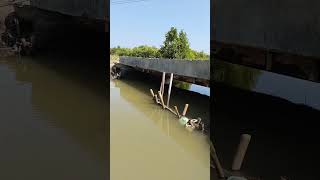 spot muara pandan singaraja,indramayu lagi rame tarikan " BUNTAL"  🤣🤣 #mancingbaramundi