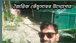 জৈৱিক কেঁচু সাৰৰ উদ্যোগত কিছু সময়