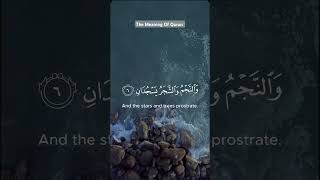 Surah Rahman Fast Recitation | Mishary Rashid Alafasy Best Voice Quran Tilawat | ☺️☺️☺️