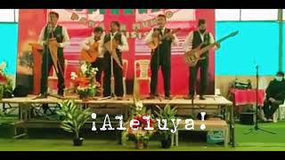 Hallelujah / Grupo Instrumental Mensajeros