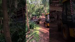 Chilmanglaru Karnataka - Coffee Plantation & Trees