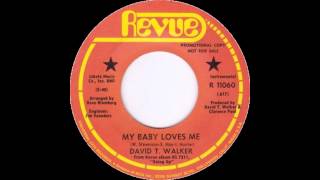 David T Walker - My Baby Loves Me