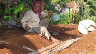 Petani penggarap, Pak Ali sedang menyiapkan pondok dikebun sekarang sedang menanam cabe  dan 🍆.