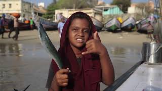 26 - Kanyakumari Fish Market Photoshoot | India photography adventure