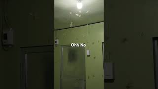 #viral #shortvideo #calmdawn #ytshorts #ohno #scary