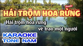 Hái Hoa Rừng Karaoke | Tone Nam | Karaoke Nhạc Sống Sóc Trăng