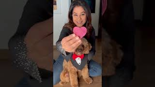 Valentine's with my furry one! | Pupcake Factory | Bhavna Jasra