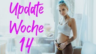 Babybauch Update in Woche 14 🤰