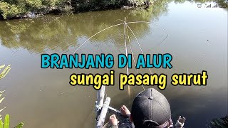 BRANJANG : INDONESIA TRADITIONAL FISH CATCHING || Tangkul ikan || berburu ikan