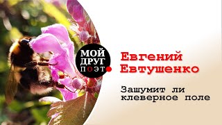 Евгений Евтушенко  -  Зашумит ли клеверное поле...  |  Евгений Евтушенко стихи  |  Поэзия