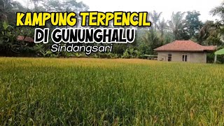 SUASANA KAMPUNG TERPENCIL BIKIN ADEM ‼️SINDANGSARI GUNUNGHALU