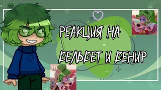 •Реакция 13 карт на- "Вельвет и Венир"♤