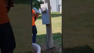 when a weed eater is almost out of string #lawncare #bagpipes #lawncutting #chanter