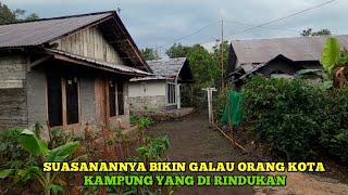 Hujan Gerimis di Perkampungan Terpencil Yang Indah Dan Kabut Tebal Bikin Galau Orang Kota