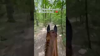 My to tu milujeme🌲🌳🌿 #horses #horse #equestrianriding #equestrian #horsebackriding #equine #jezdec