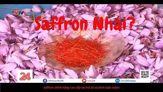 Saffron giả | Saffron giá | Saffron chính hãng | saffron thật giả vtv24