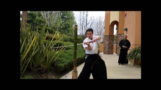 2019 March Todai Dojo Ronin Kenjustu Training - Hadari Kawasemi