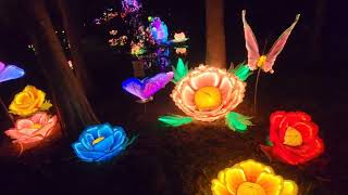 The Asian Lantern Festival