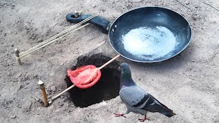 How to trap birds with a skillet