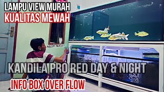 Beruntungnya Memakai Lampu View Aquarium KANDILA Pro Red Day & night. Anti Token Bolong!