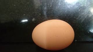 The egg 2 @