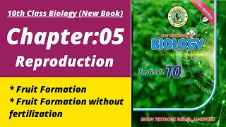 Fruit Formation class 10 | Biology class 10 chapter 5| Class 10 new biology book