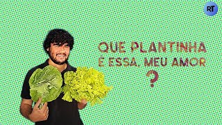 HISTÓRIA DA CANNABIS: COMO ACONTECEU A CONSTRUÇÃO DO TABU E PRECONCEITO COM A MACONHA? || RT na TV