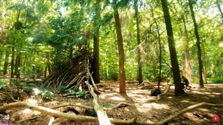 fpv shendrone - Lost in the woods cinematic