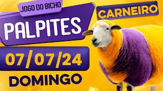 PALPITE DO DIA 07/07/2024 - JOGO DO BICHO 🍀 TODAS AS LOTERIAS 🍀