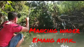 Mancing wader memang asik, obat boncos di sungai progo