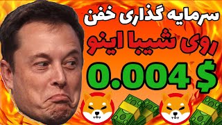 نخبه واقعی فقط روی شیبا اینو سرمایه گذاری کرد