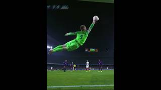 Impossible Goalkeeper Saves