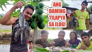 ANG DAMI NAMING HULING TILAPYA SA ILOG AT MUKBANG!