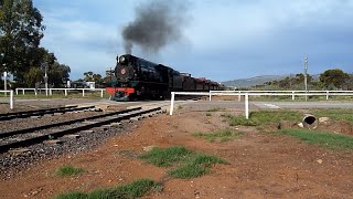 Pichi Richi Railway, W22 Pulling Empty Train through Quorn for Pichi Richi Explorer